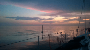 Jossain Viron rannikolla aamuhämärässä. Ulapat olivat avoimempia kuin Suomen etelärannikolla