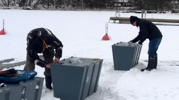 WP_20160206_10_38_27_Pro